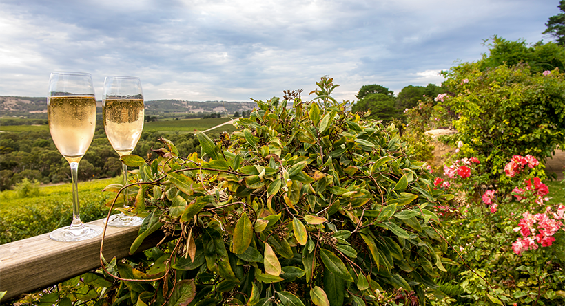 Wines by Geoff Hardy Vineyard